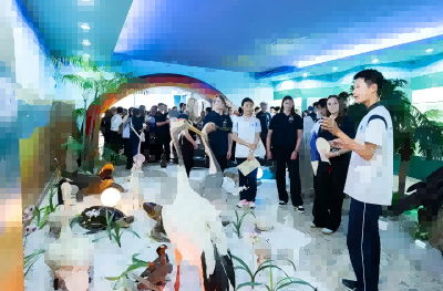 穿越时空文化交融 跨越山海加深友情